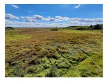 Wetlands of the Biebrza Valley. Photo: M. Kluczek Wetlands of the Biebrza Valley. Photo: M. Kluczek