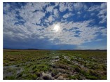 Wetlands of the Biebrza Valley. Photo: M. Kluczek