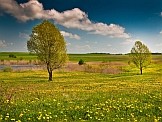 Grasslands in Biebrza National Park. Credits: Shutterstock Grasslands in Biebrza National Park. Credits: Shutterstock