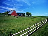 Meadow. Credits: iStock Meadow. Credits: iStock