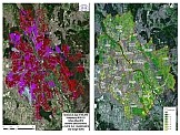 Mapy pokrycia terenu Urban Atlas (po lewej) i stanu roślinności NDVI (po prawej) Warszawy w 2018. Opracowanie: IGiK