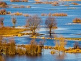 Bagna Biebrzańskie. Foto: Adobe Stock