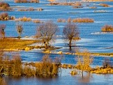 Biebrza Wetlands. Credits: Adobe Stock