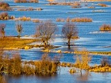 Biebrza Wetlands. Credits: Adobe Stock Biebrza Wetlands. Credits: Adobe Stock