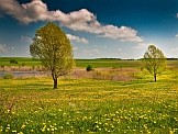 Łąki w Biebrzańskim Parku Narodowym. Foto: Shutterstock