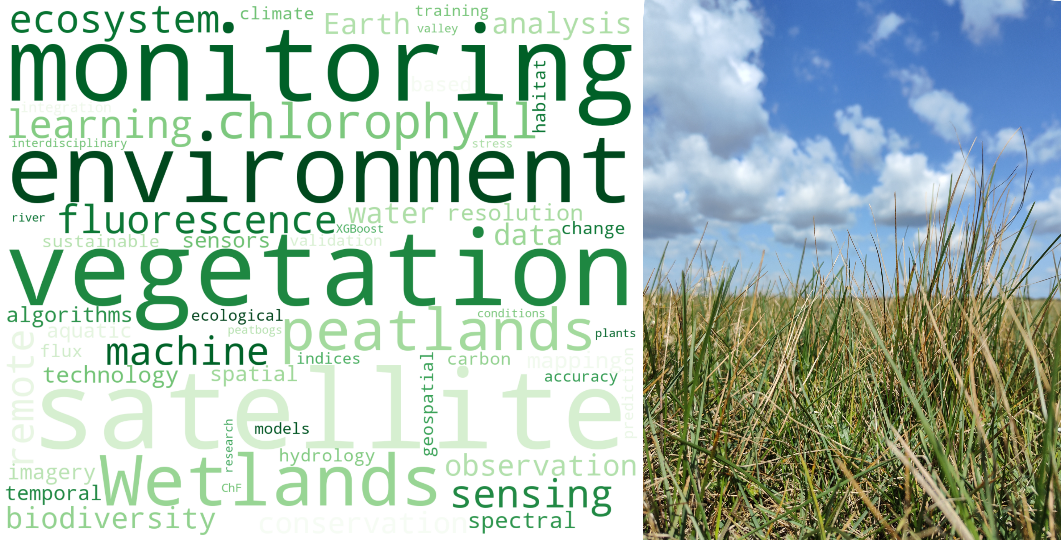Abstrakt graficzny do artykułu Estimating of chlorophyll fluorescence parameter Fv/Fm for plant stress detection at peatlands under Ramsar convention with Sentinel-2 satellite imagery. Źródło: https://doi.org/10.1016/j.ecoinf.2024.102603